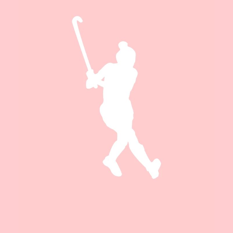 Ice surface calls: puck hunters