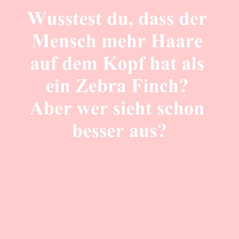 Haariger Spaß Geschenk