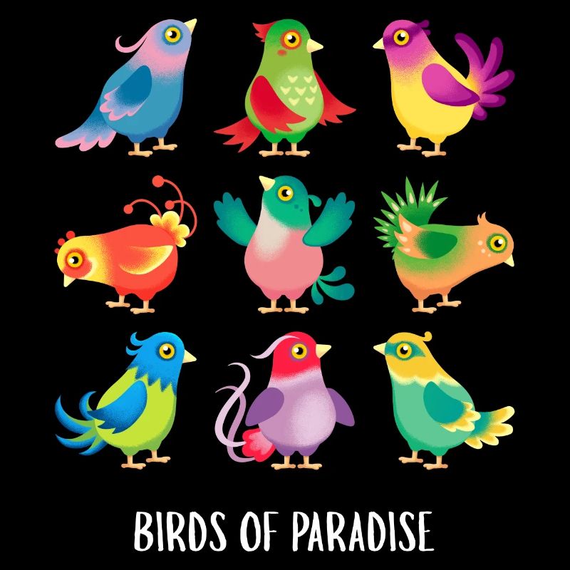 Paradiesvögel 2