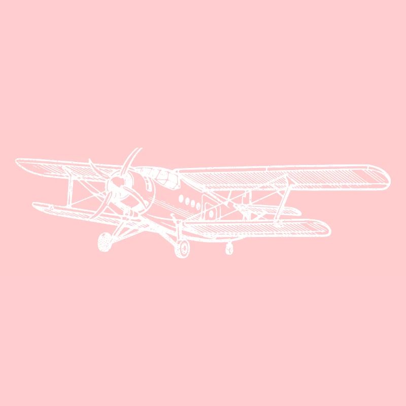 An-2 Antonov Flugzeug Doppeldecker Geschenk