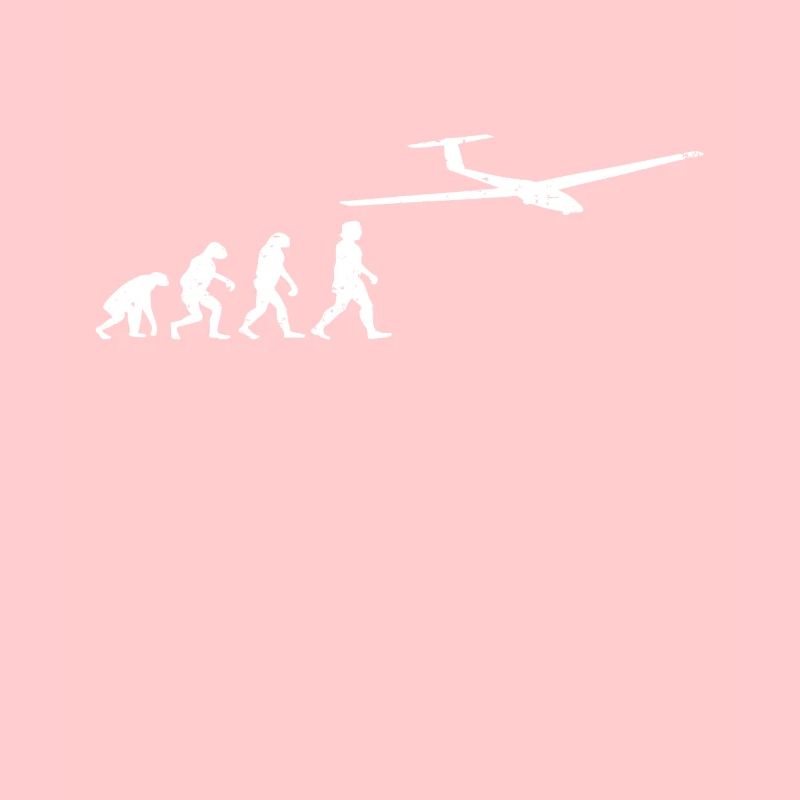 Planeurs Planeurs Evolution