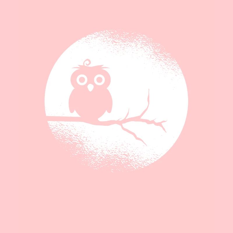 Eule Waldbewohner Eulen Vollmond