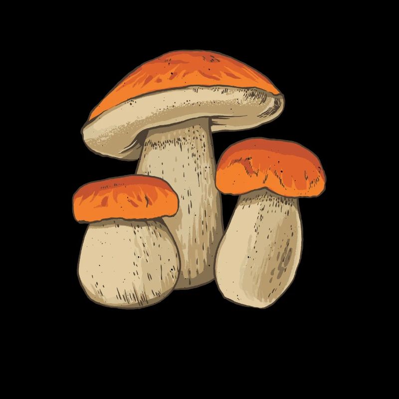 Cueilleur de champignons Champignons Champignons Cèpes Champignons Chercheurs de champignons