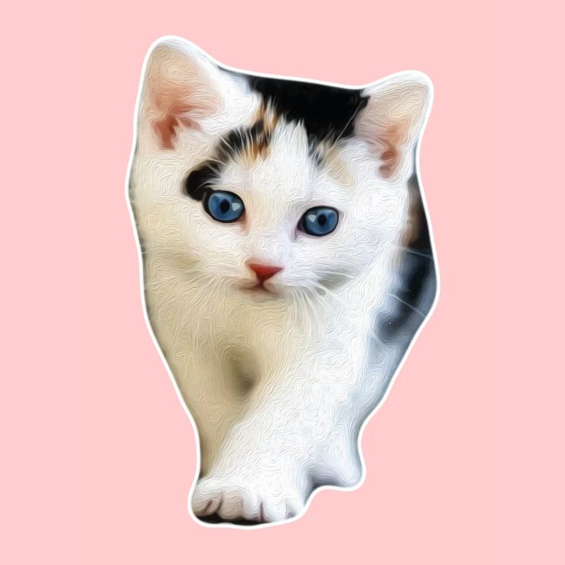 Cat kitten cute kitty cat gift idea