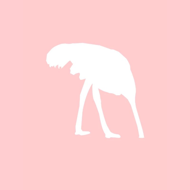 La tête d’Ostrich Strauss dans le sable