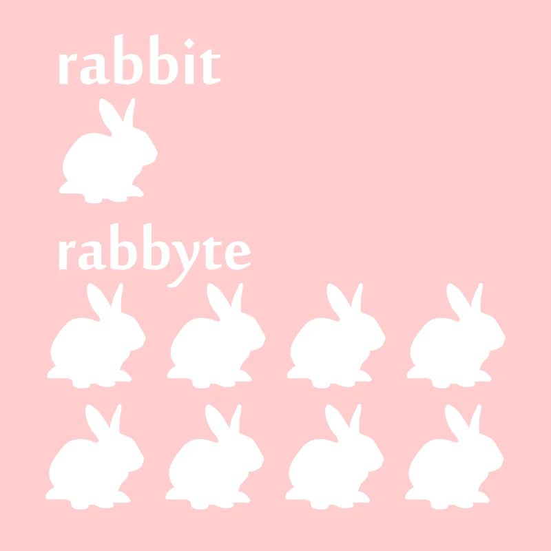Programmeur informatique cadeau lapin octet