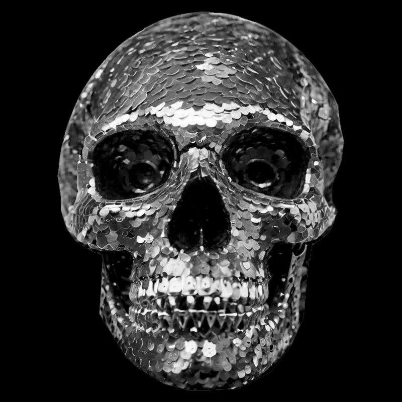 Skull, metallic, sequins, rivets, silver