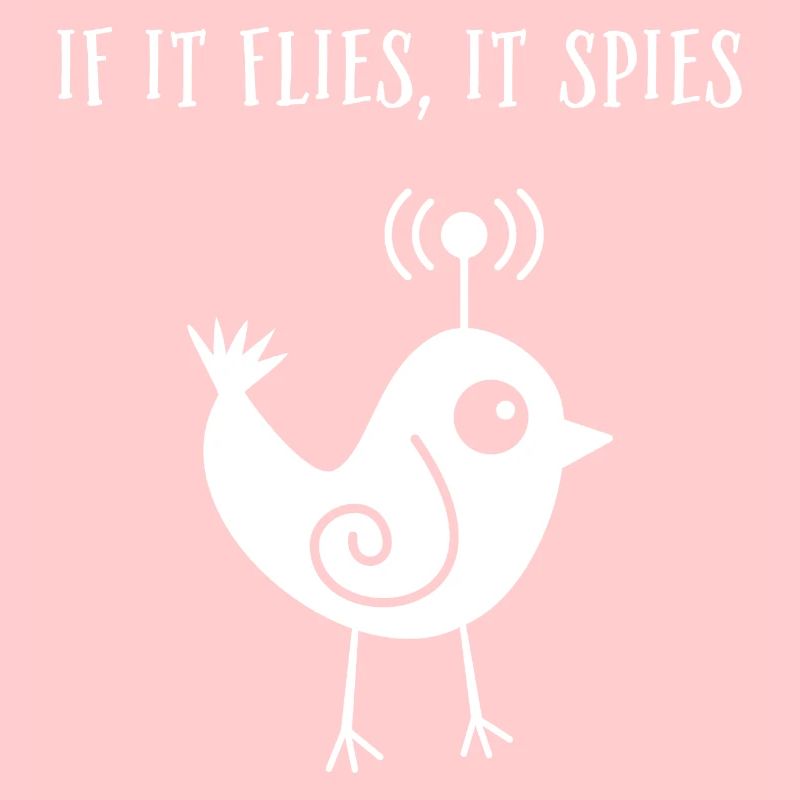 When it flies, it spies
