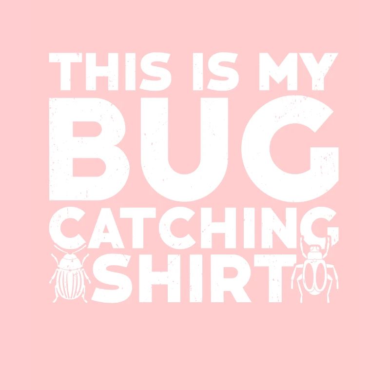 Insecte