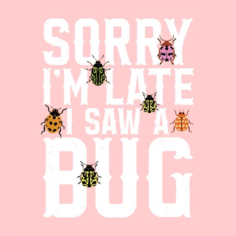 Insecte