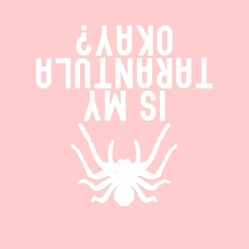 Tarentule