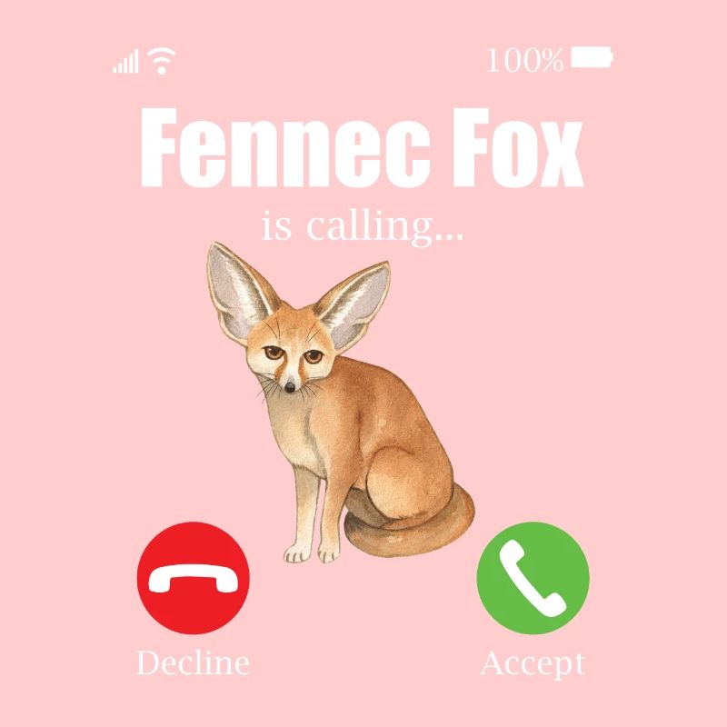 Fennec Fox