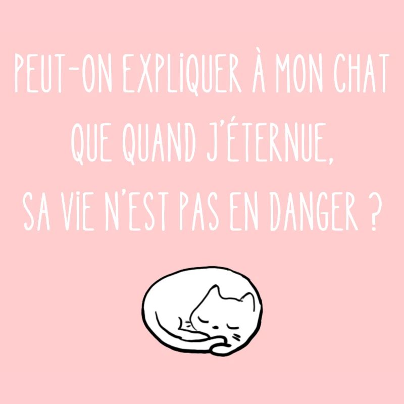 peut-on expliquer à mon chat