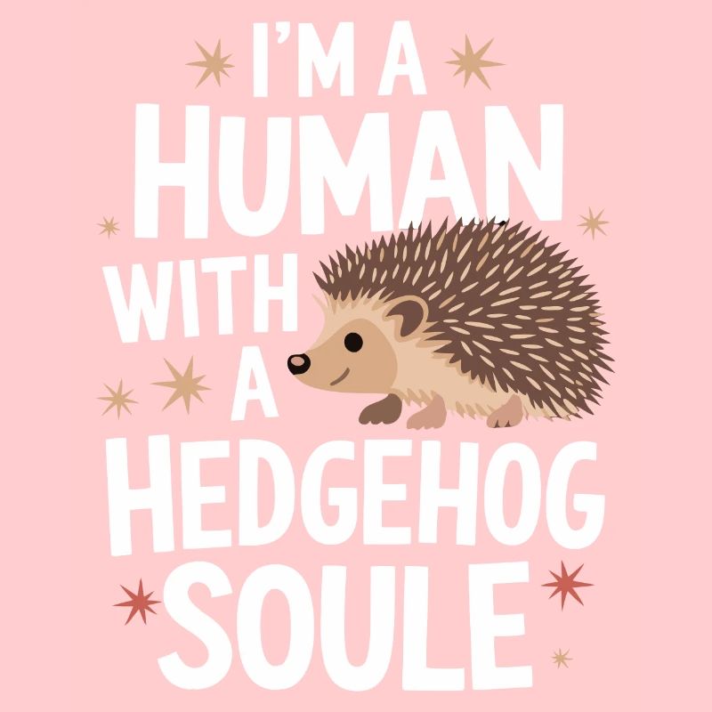 Igel Stachelig Tier Igel