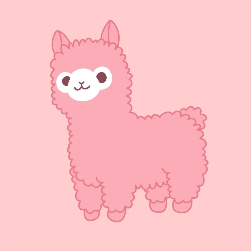 llama