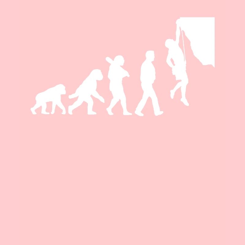 Evolution des Kletterns