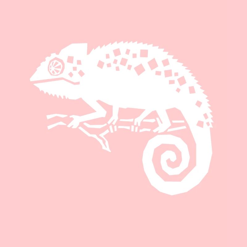 chamäleon