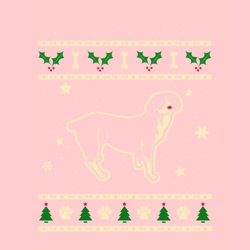 Entlebucher Weihnachtsgeschenk