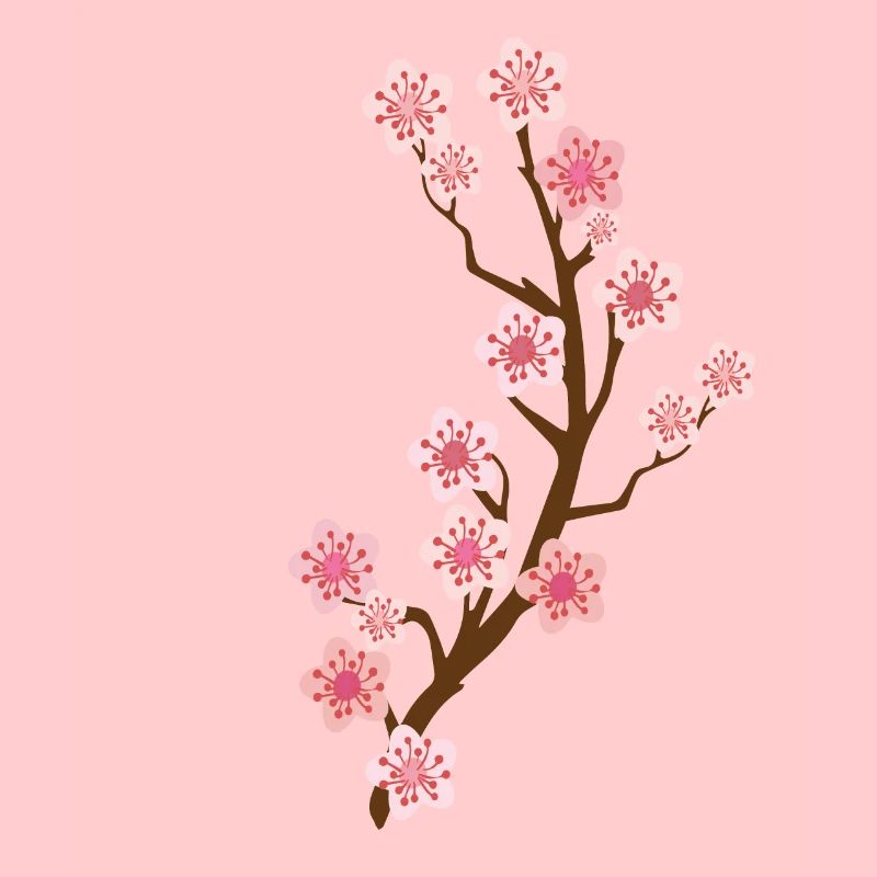 fleur de cerisier