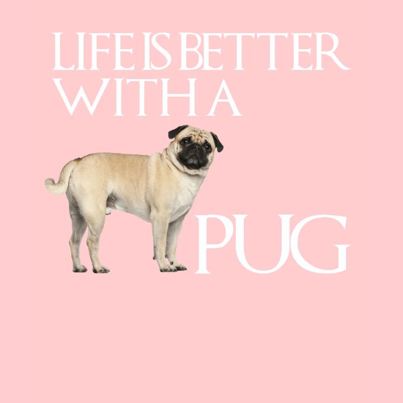 Das Leben eines Mopshundes ist mit einem Mops besser