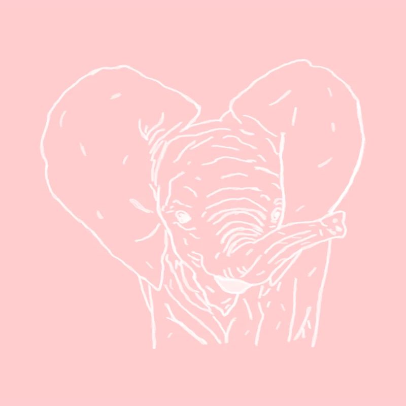 Bébé éléphant blanc