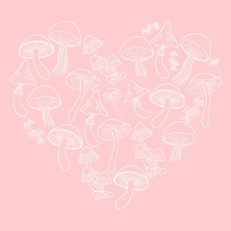 Steinpilze | Pfifferling | Champignons