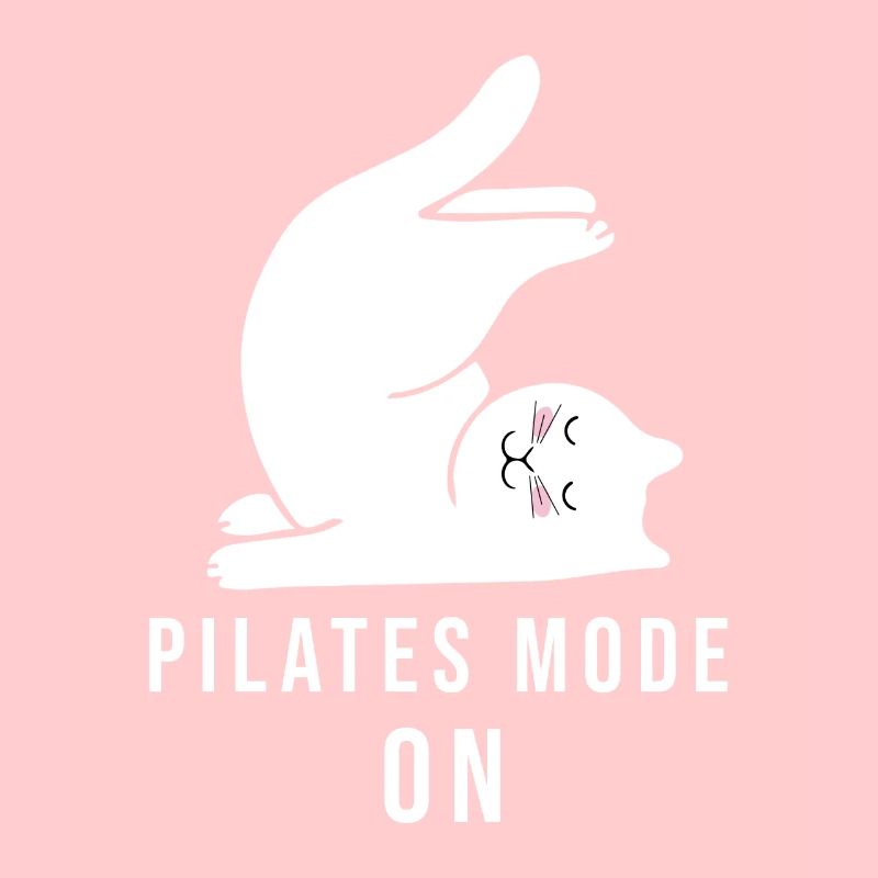 Pilates Modus Ein