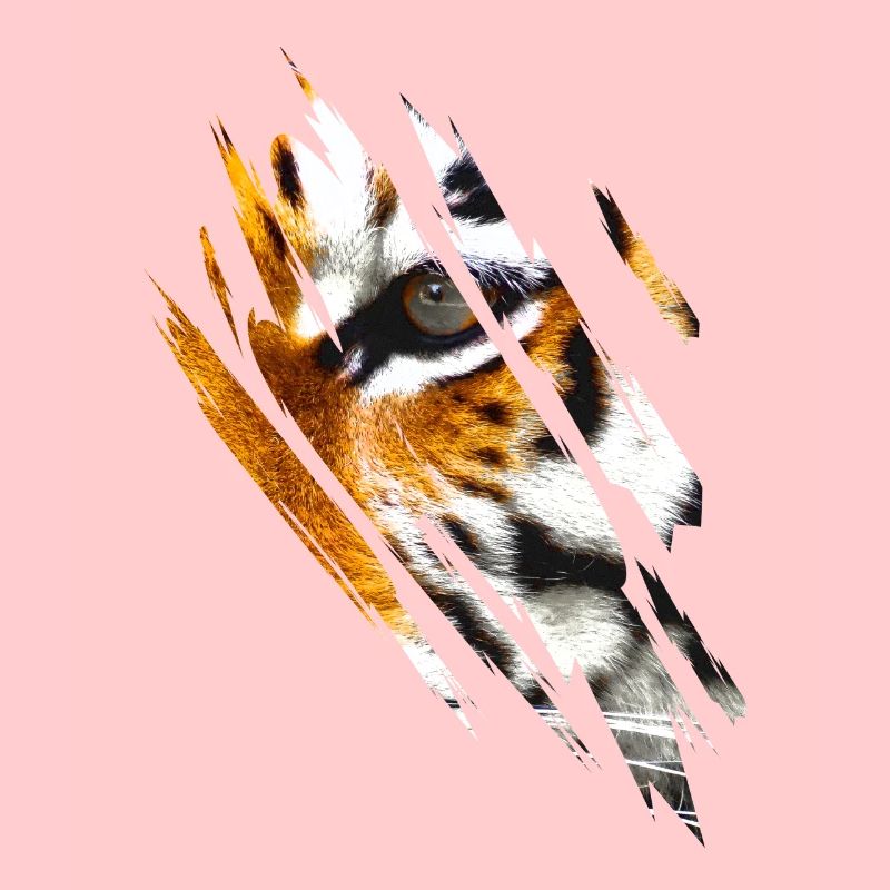 Tiger Eyes