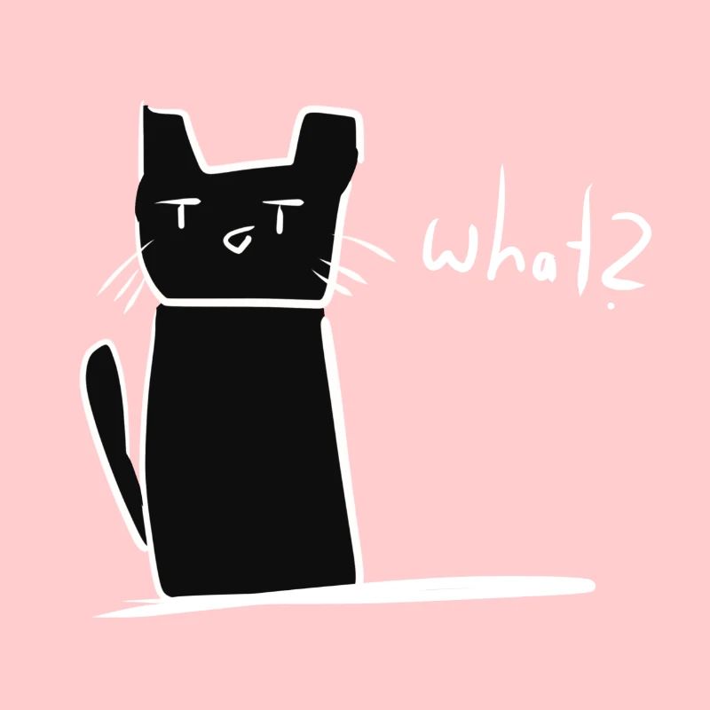 Chat confus animal mignon