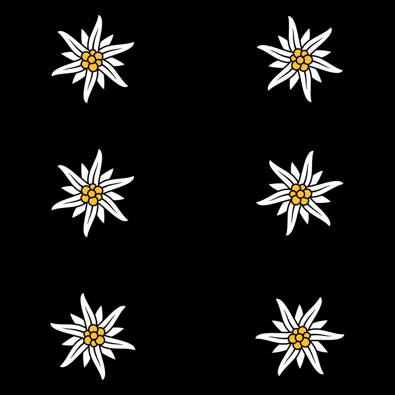 Dirndl apron Edelweiss
