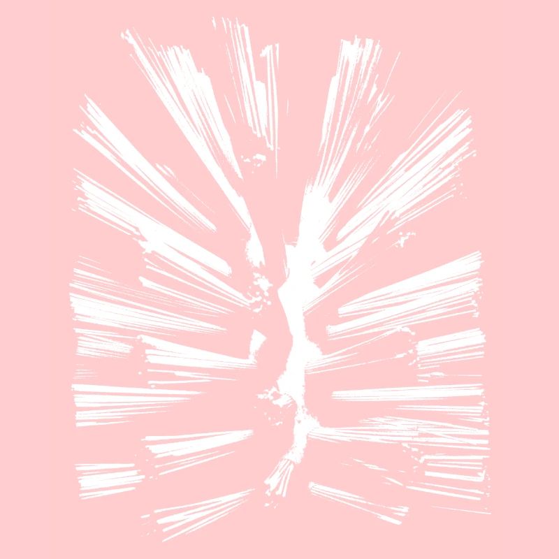 Toilet brush