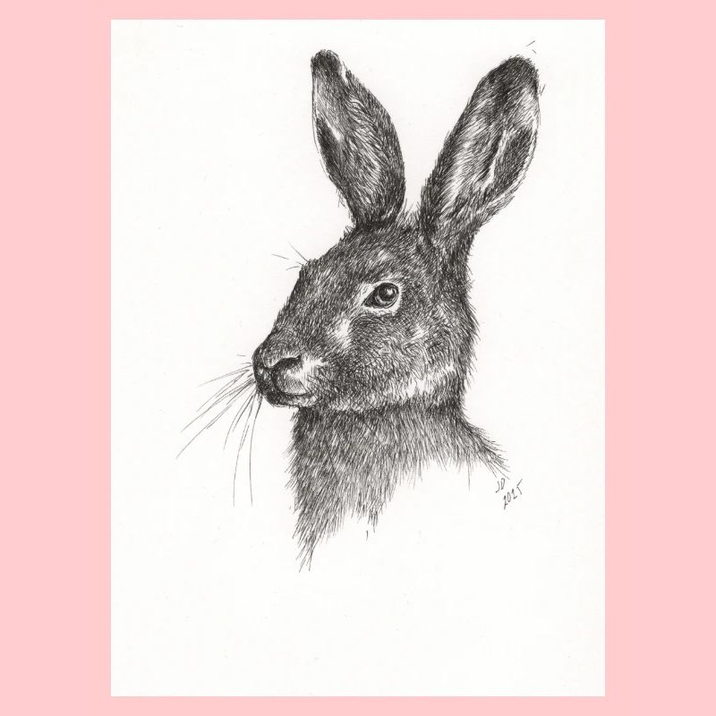 Pas juste un autre lapin