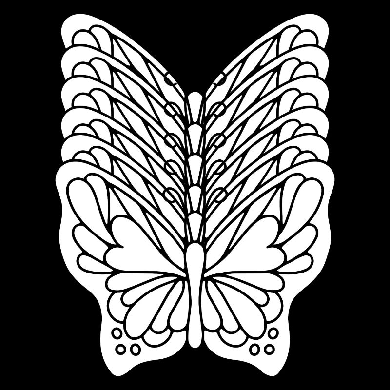 Butterfly Effect