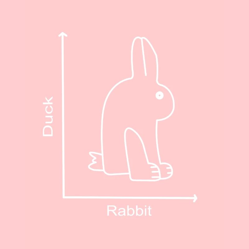 DUCK RABBIT - Hase Ente - Graph lesson