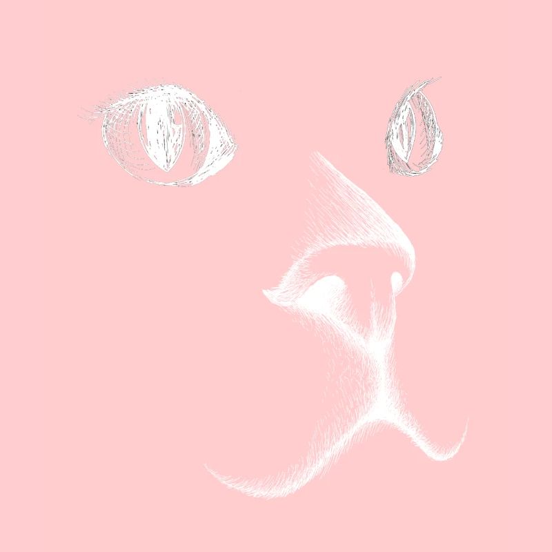 Visage de chat