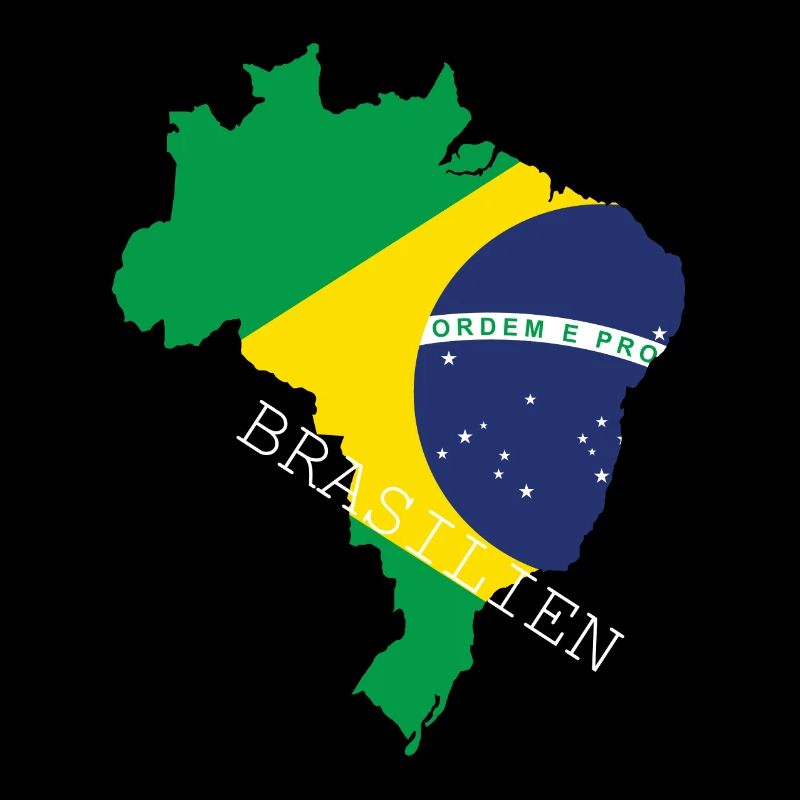 brésil drapeau drapeau amérique du Sud