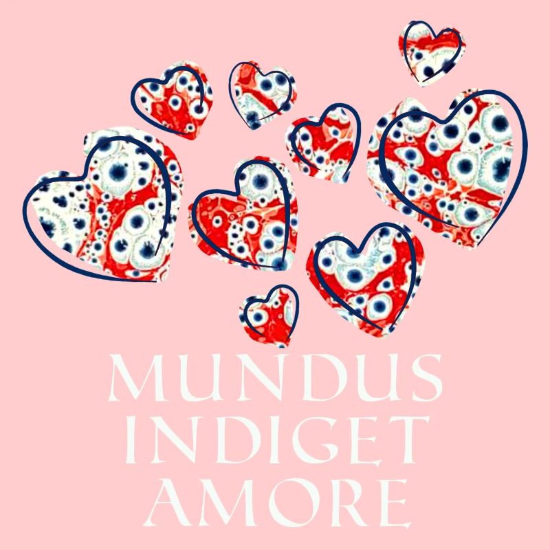 mundus indiget amore e 260