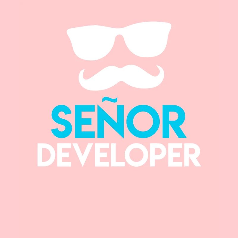Señor Developer Informaticien Nerd Développeur