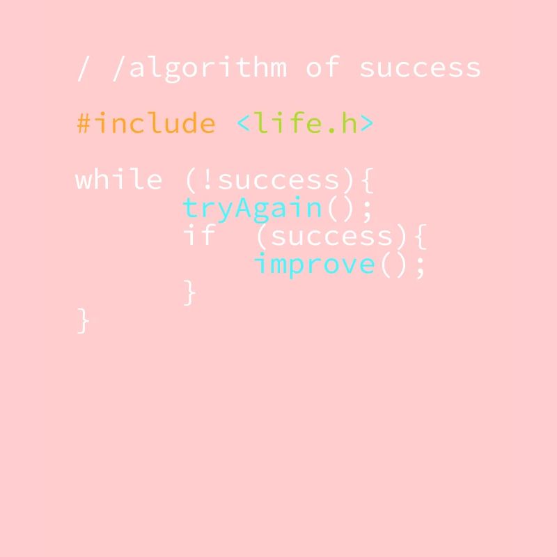 Développeur Programmeur succès Coder