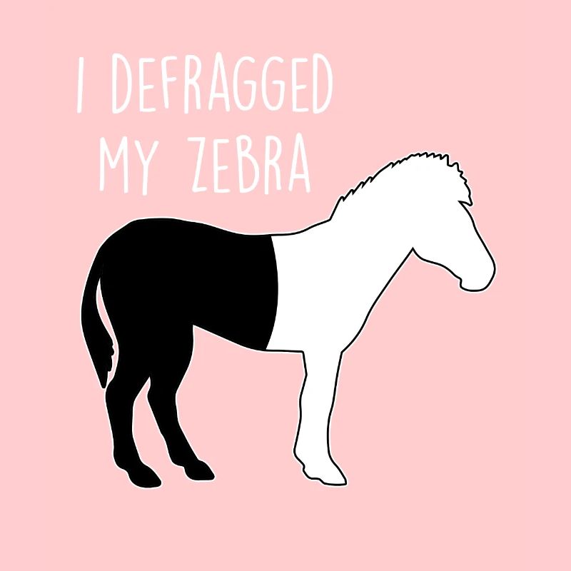 I defragged my Zebra Coder Informatiker Hacker