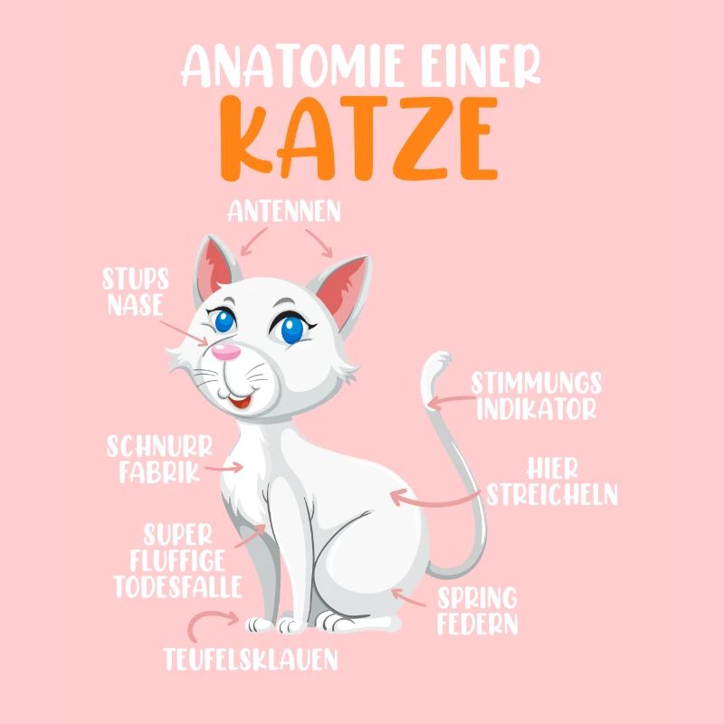 Anatomie einer Katze
