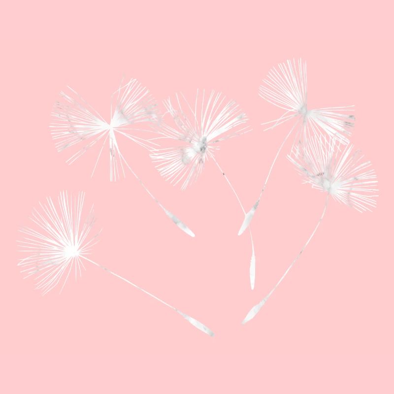 Pusteblume
