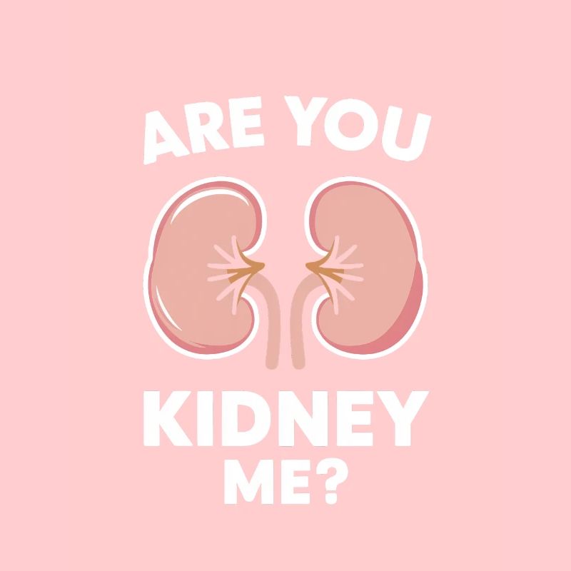 Nierenspender Niere Organspender