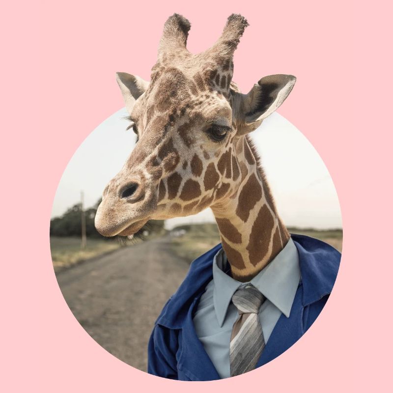 Giraffe im Anzug