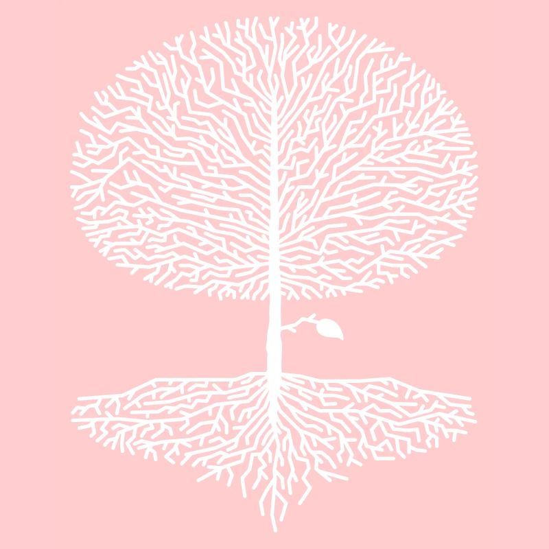 Laubbaum Krone Wald Eiche Buche Natur Linde Äste