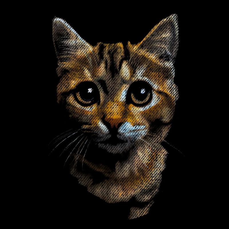 süße Katze getigert getiegert