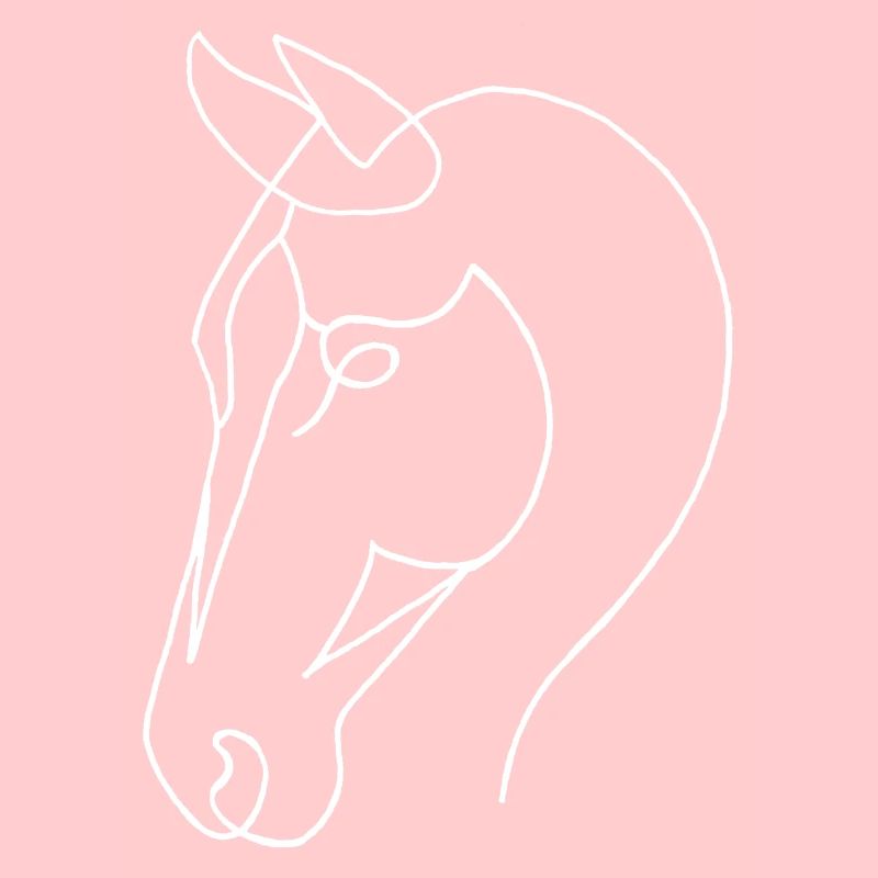 Esquisse du cheval blanc