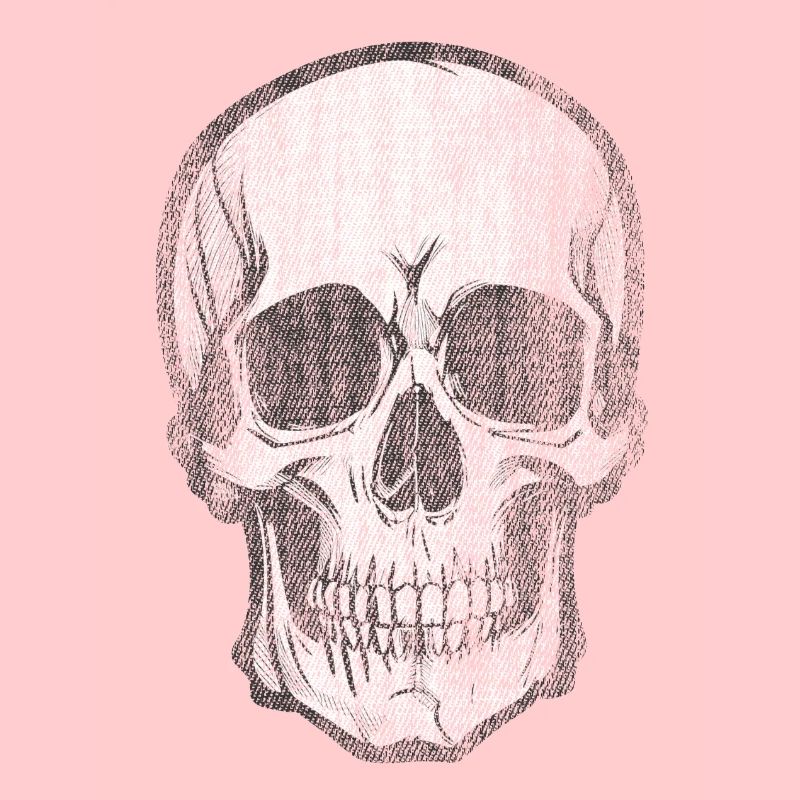 Skull Bone Skull Head Pirate