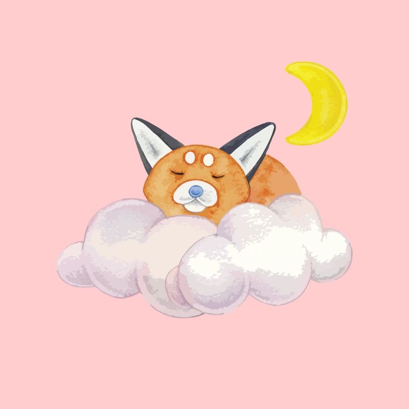 Sommeil chat nuage lune cadeau de nuit