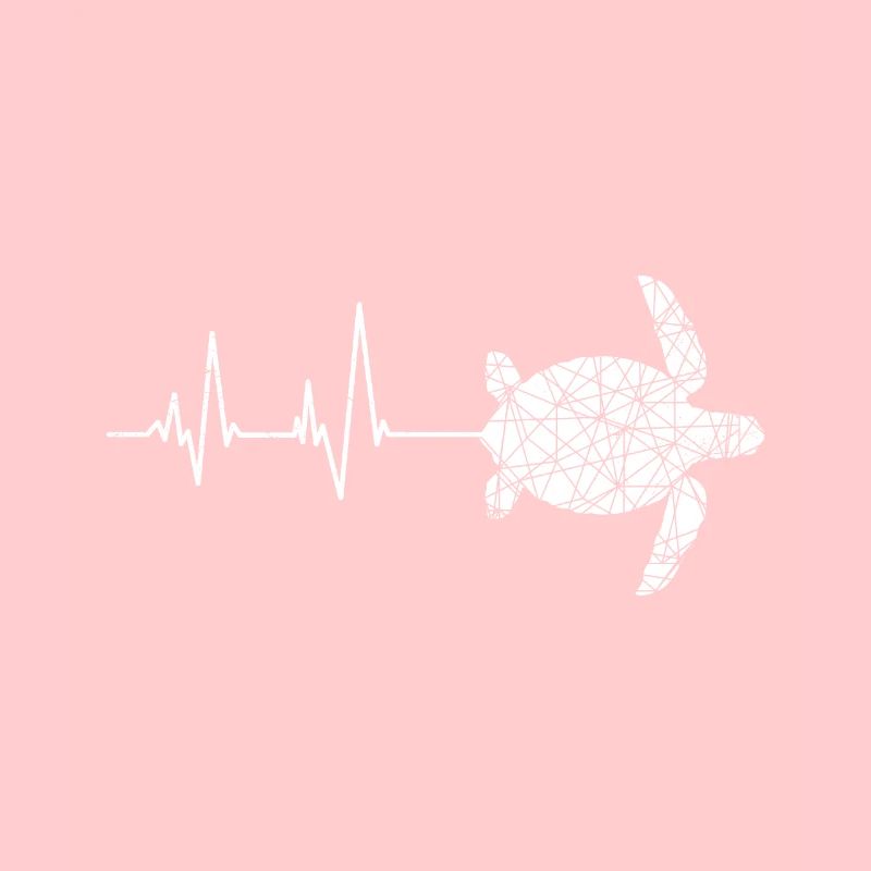 Schildkröten Herzschlag Langsamkeit